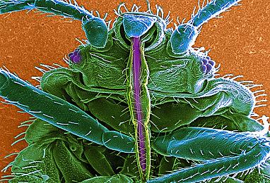 国产FPS《三角洲行动》α测试将于7月18日开启